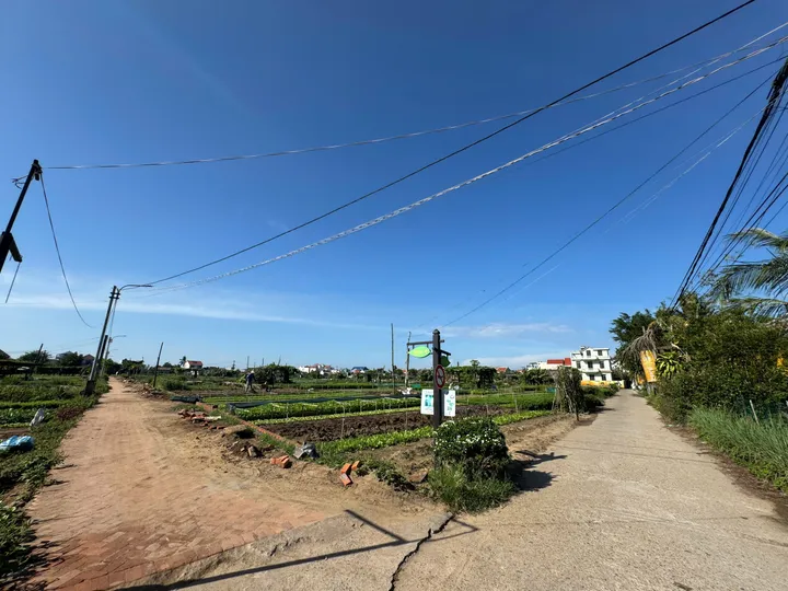 HÀNG HIẾM: Bán Lô Góc 2 Mặt Tiền View Sông Và View Làng Rau Trà Quế Cực Hiếm Tại Hội An (MS558a)